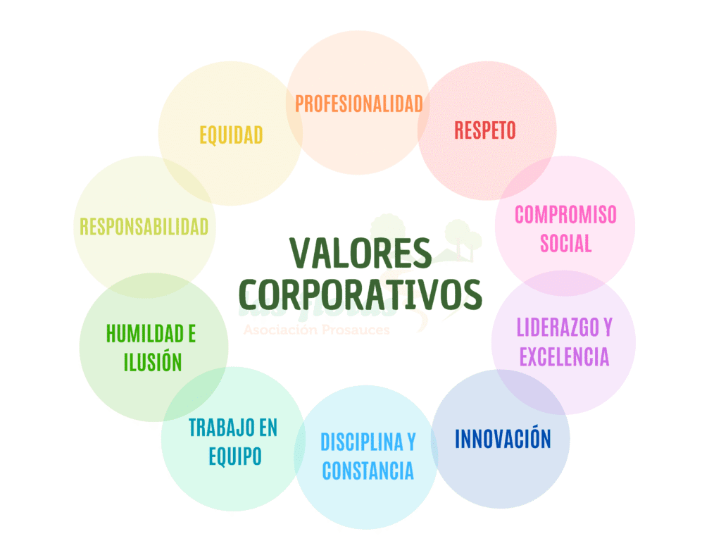 Gráfico-Valores-web-_1_